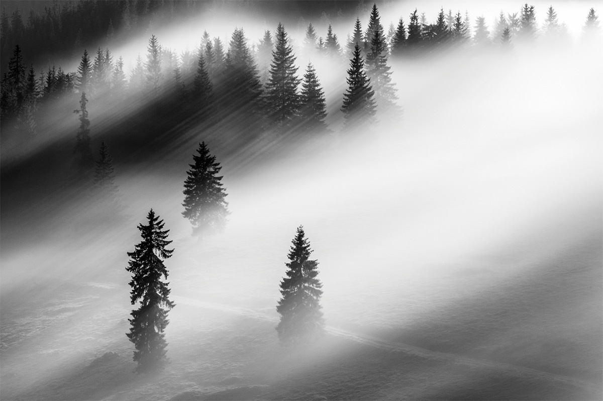 Cutting through the fog